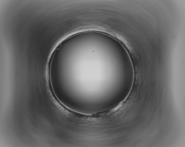 X0000113561516200909181209
