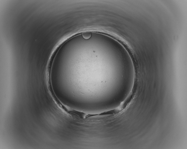 X0000113561517200909181209