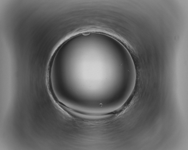 X0000113561518200909181209