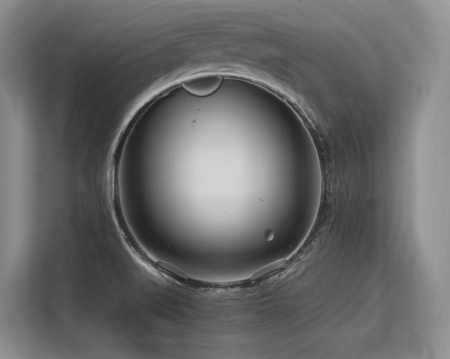 X0000113561519200909181209