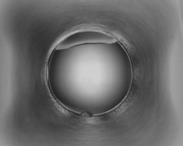 X0000113561520200909181209