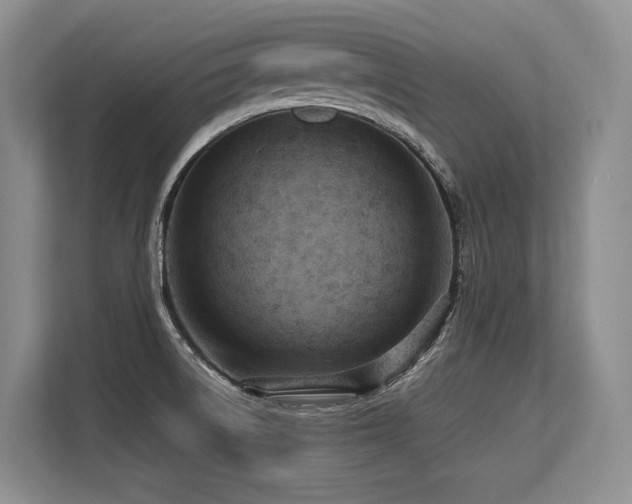 X0000113561522200909181209