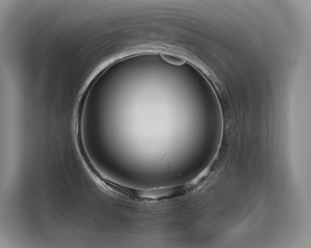 X0000113561523200909181209
