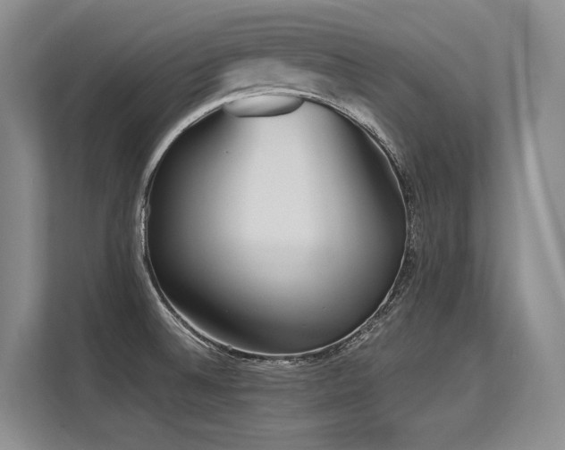 X0000113561524200909181209