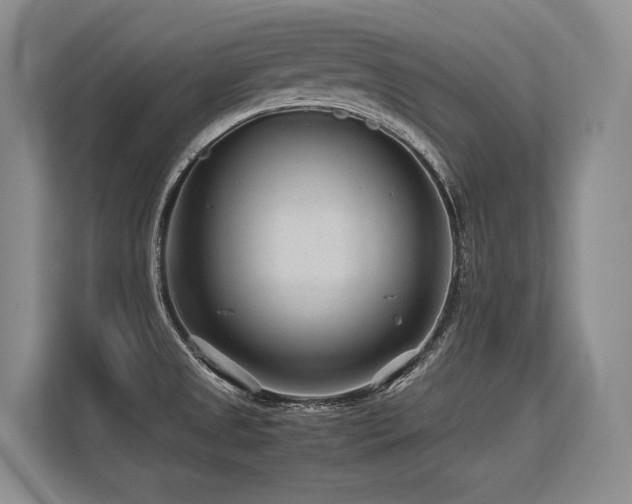 X0000113561525200909181209