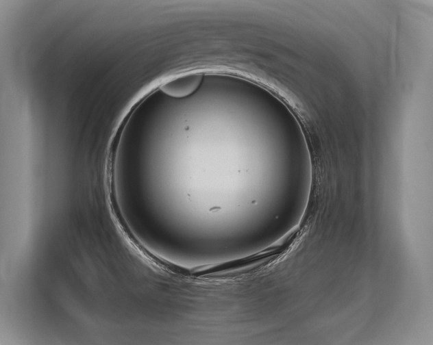 X0000113561526200909181209