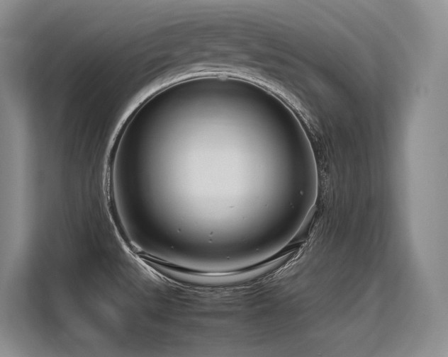 X0000113561527200909181209