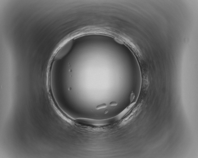 X0000113561528200909181209