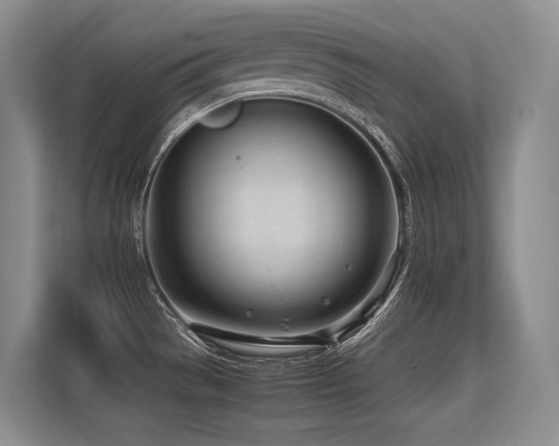 X0000113561529200909181209