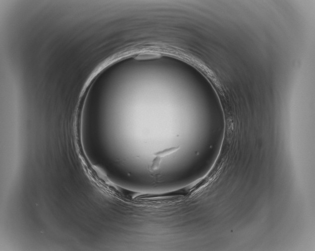 X0000113561530200909181209
