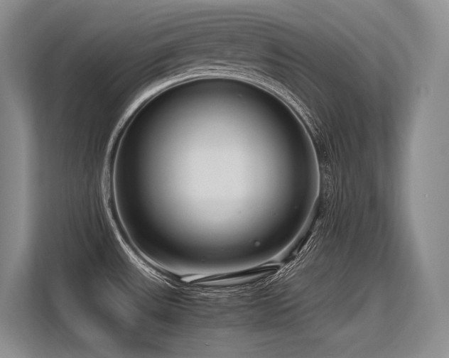 X0000113561531200909181209
