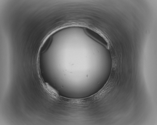 X0000113561532200909181209