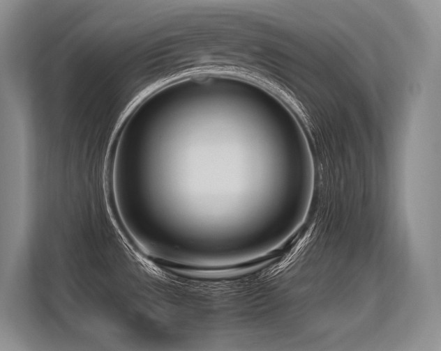 X0000113561533200909181209