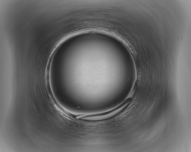 X0000113561535200909181209