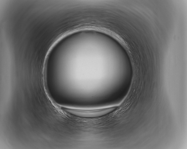 X0000113561536200909181209