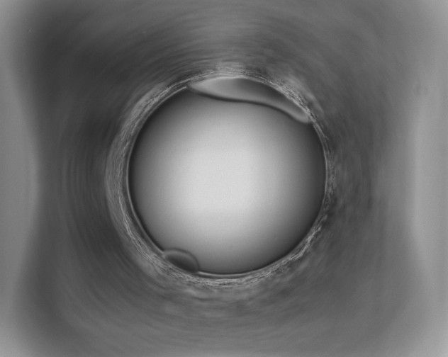 X0000113560001200909251108