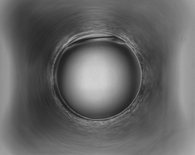 X0000113560002200909251108