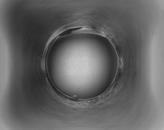 X0000113560004200909251108