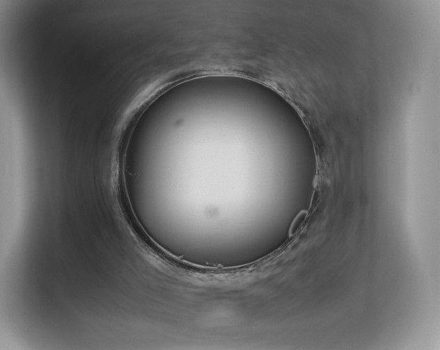 X0000113560005200909251108