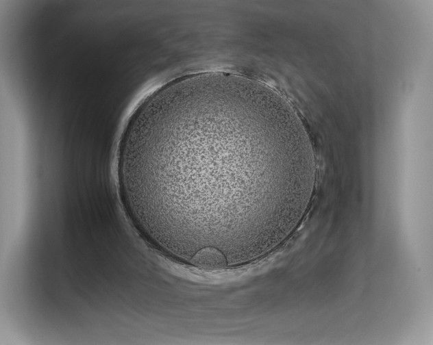 X0000113560006200909251108