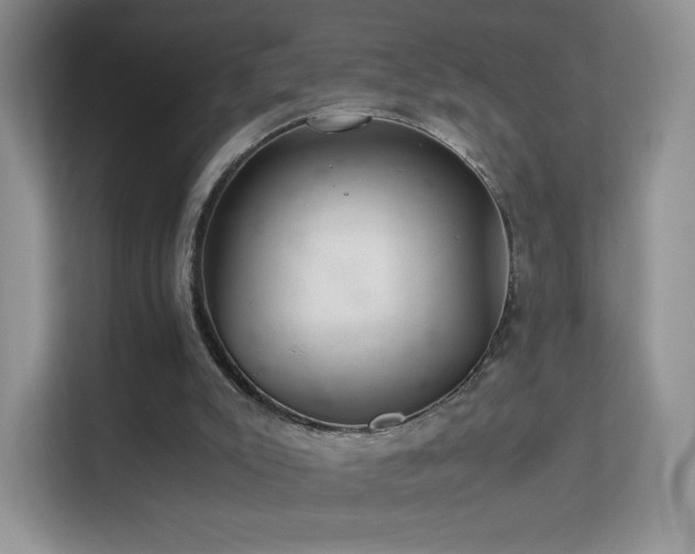 X0000113560007200909251108