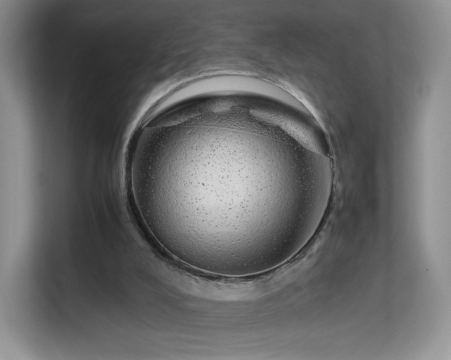 X0000113560008200909251108