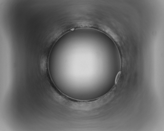 X0000113560009200909251108