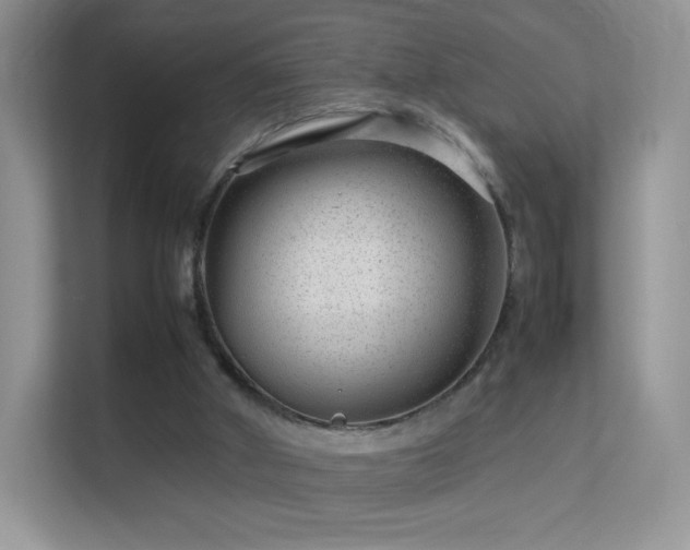 X0000113560010200909251108