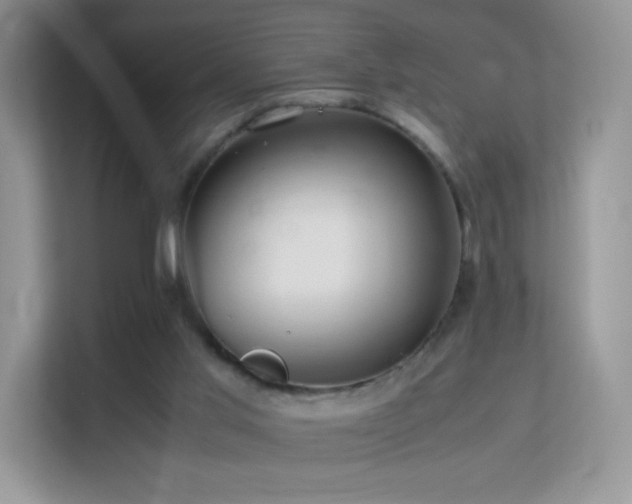 X0000113560013200909251108
