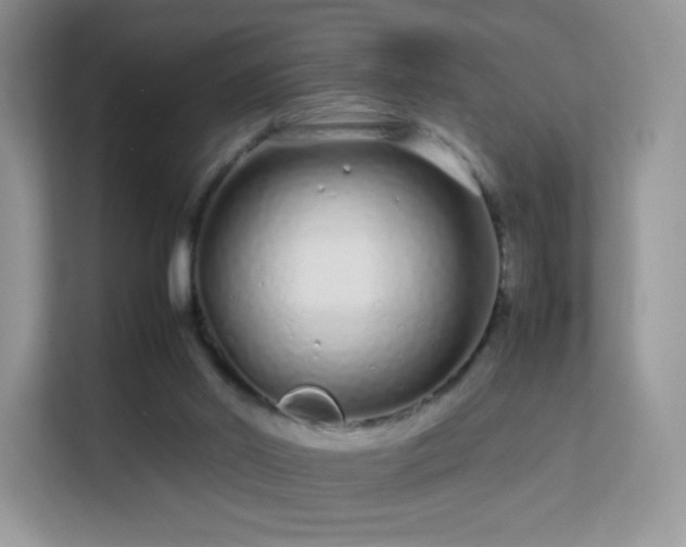 X0000113560014200909251108