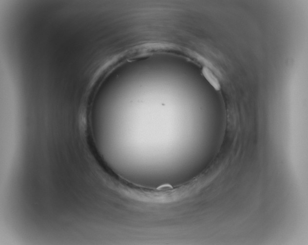 X0000113560015200909251108