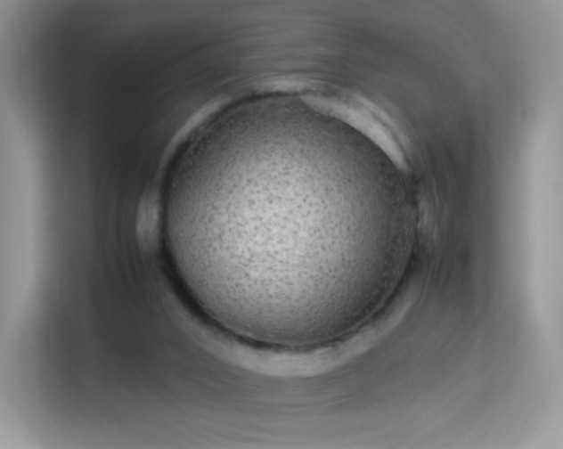 X0000113560016200909251108