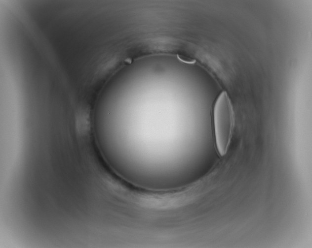 X0000113560017200909251108