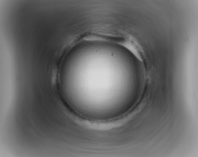X0000113560018200909251108