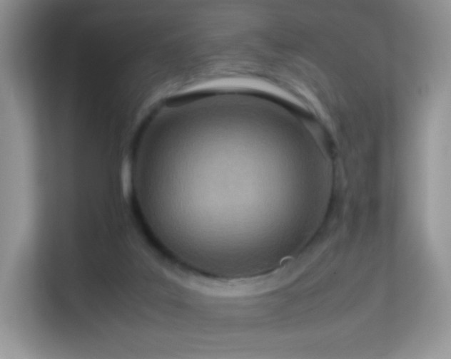 X0000113560019200909251108