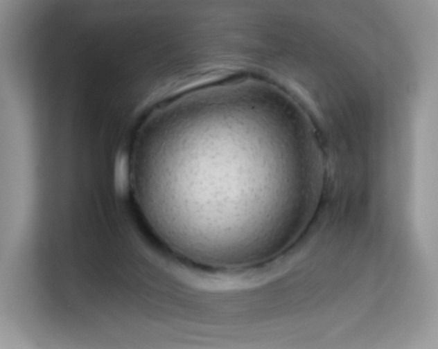X0000113560020200909251107