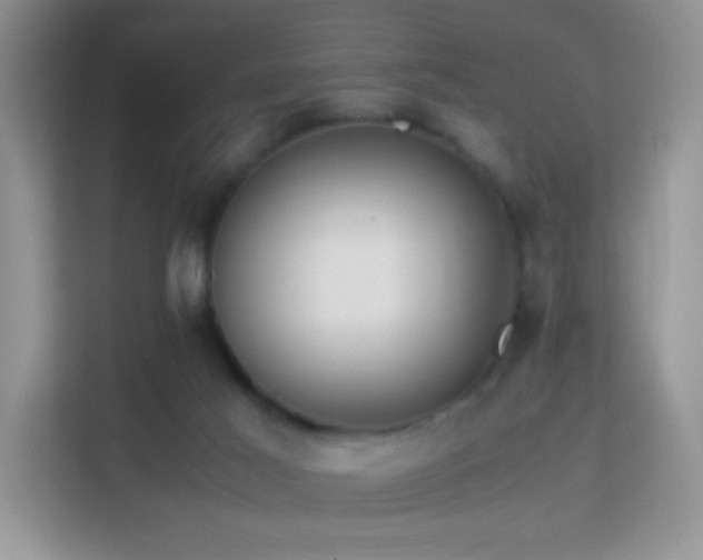 X0000113560021200909251107