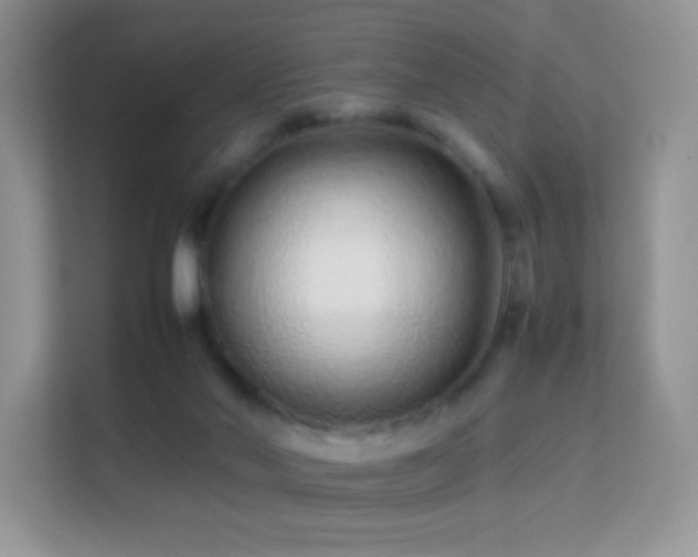 X0000113560022200909251107