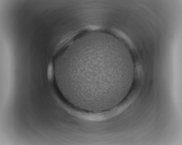 X0000113560024200909251107