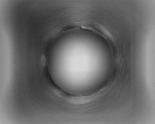 X0000113560025200909251107