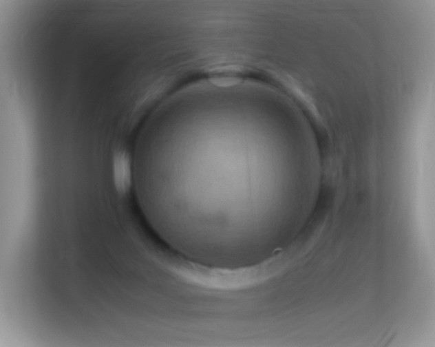 X0000113560027200909251107