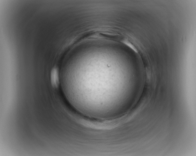 X0000113560028200909251107