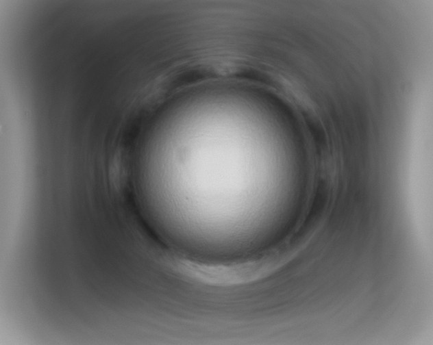 X0000113560030200909251107