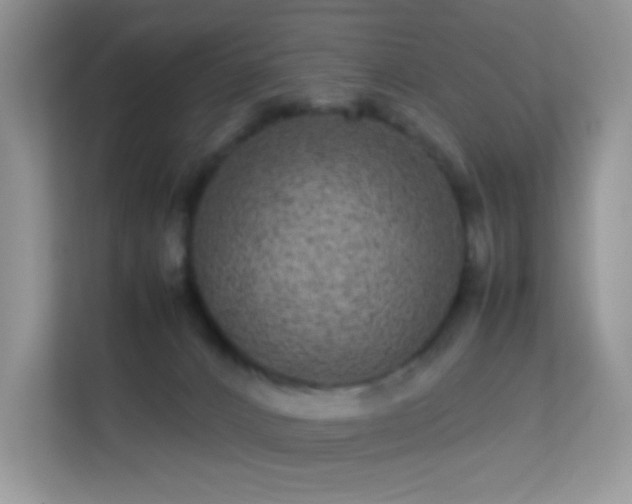 X0000113560032200909251107
