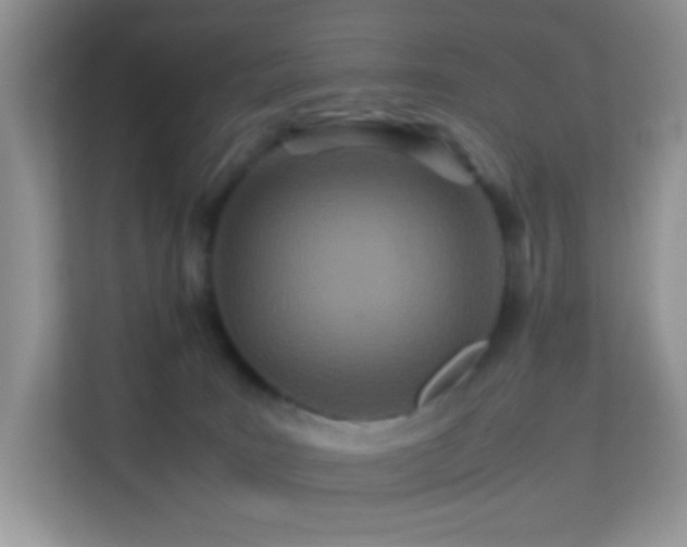 X0000113560035200909251107