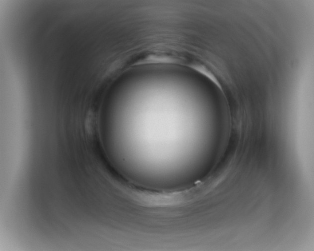 X0000113560036200909251107
