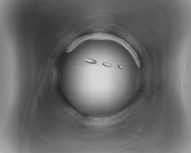 X0000113560037200909251107