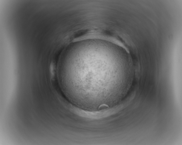X0000113560038200909251107