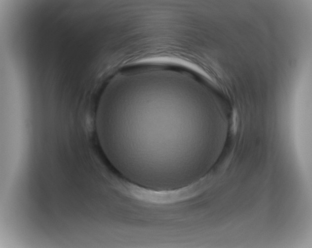 X0000113560039200909251107