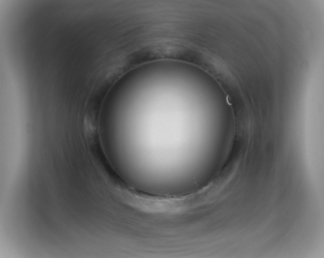 X0000113560040200909251107